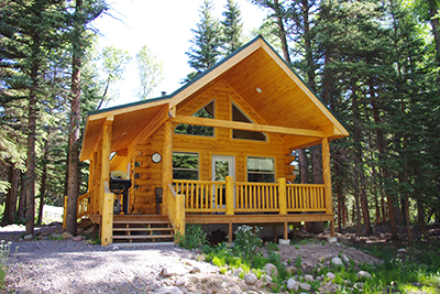 Moose Vacation Rental Cabin Alpine Accents South Fork CO